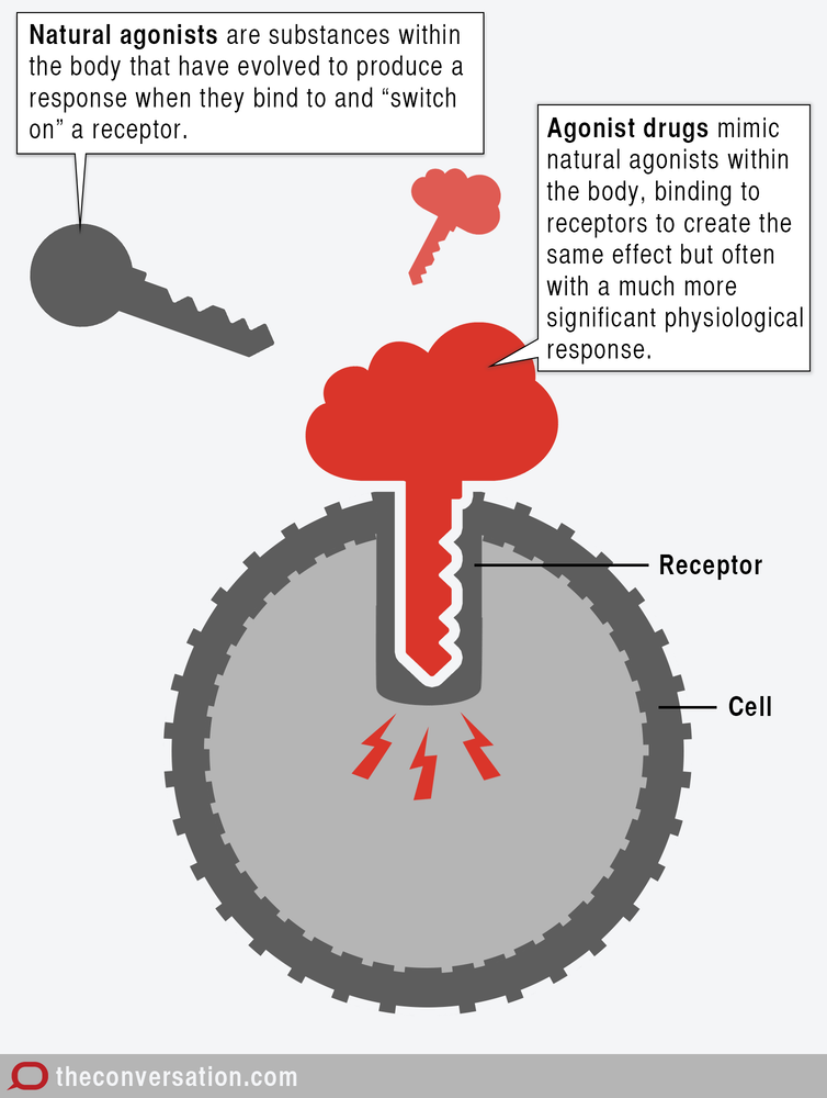 illustration of lock-and-key brain chemistry mechanism