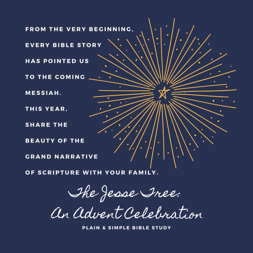A blue background contains a yellow star and starburst pattern. White text says, "From the very beginning, every Bible story has pointed us to the coming Messiah. This year, share the beauty of the grand narrative of Scripture with your family."