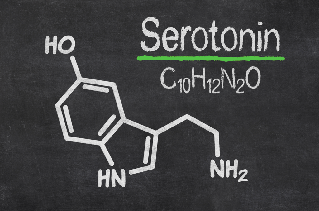 blackboard sketch of serotonin molecule